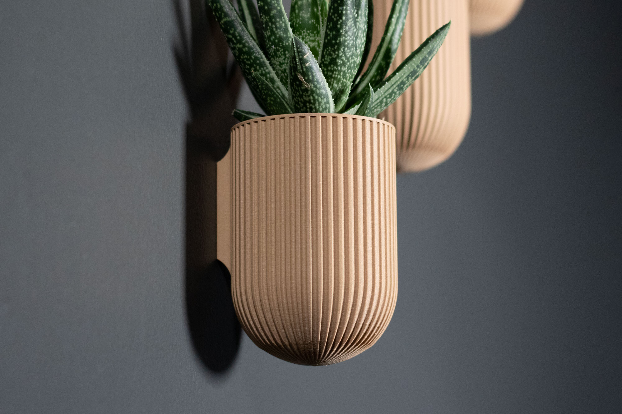 The Ira wall planter with snake plant